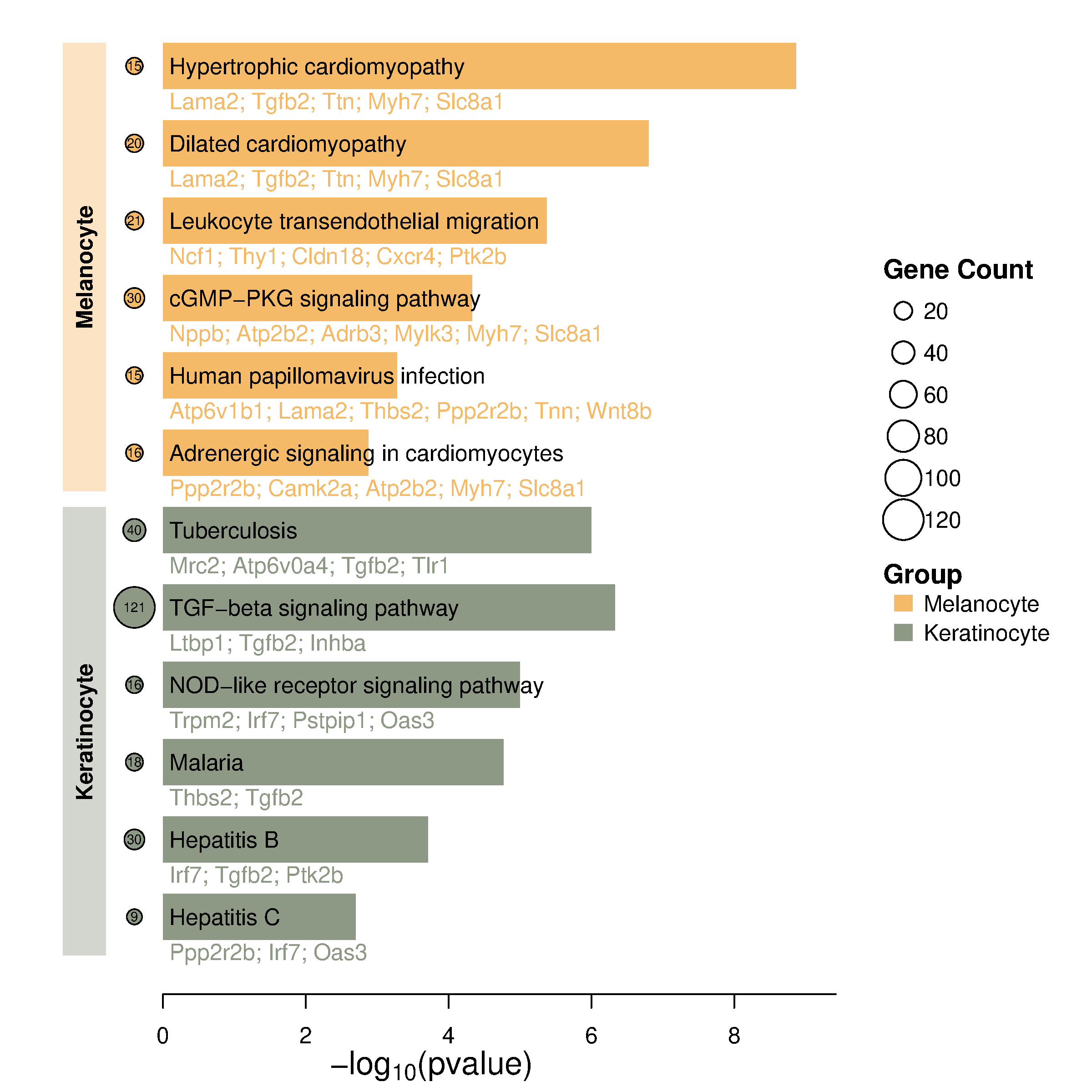 通用的占位符缩略图
