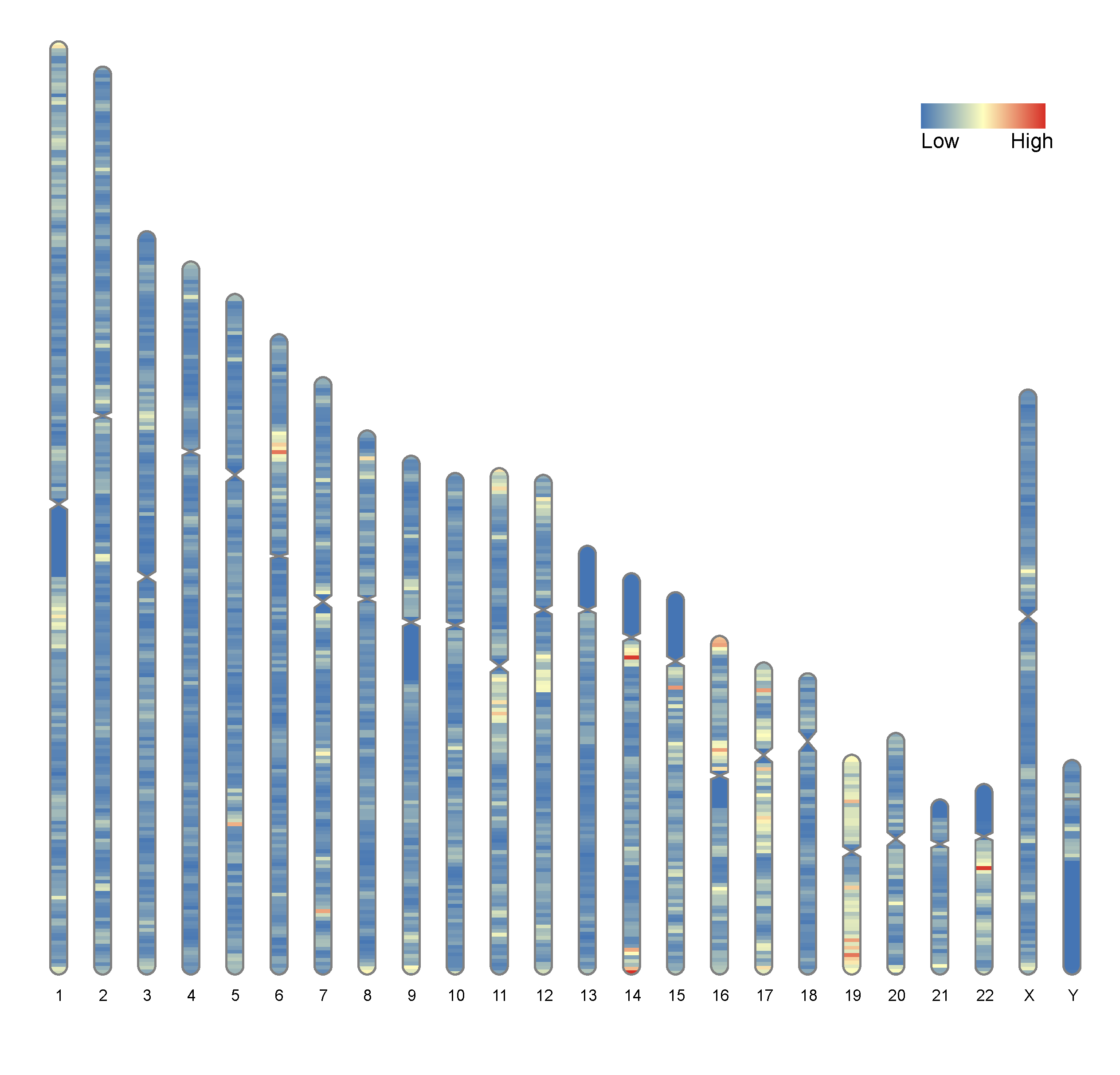 通用的占位符缩略图