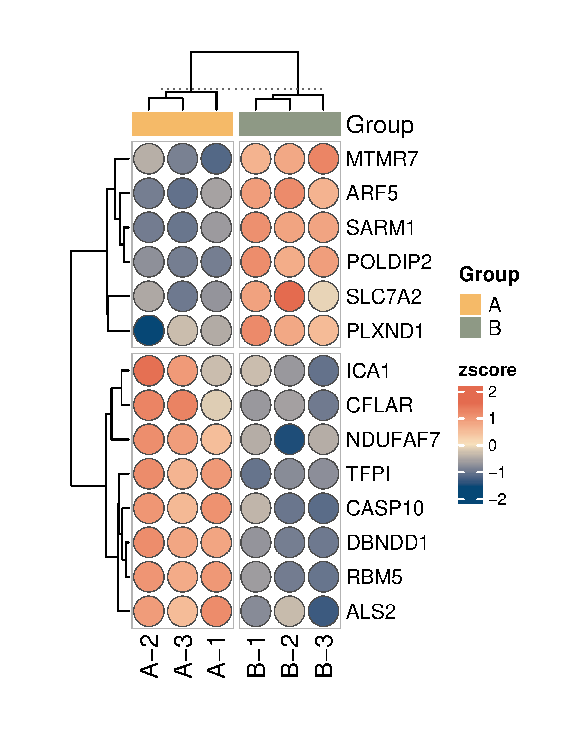 通用的占位符缩略图