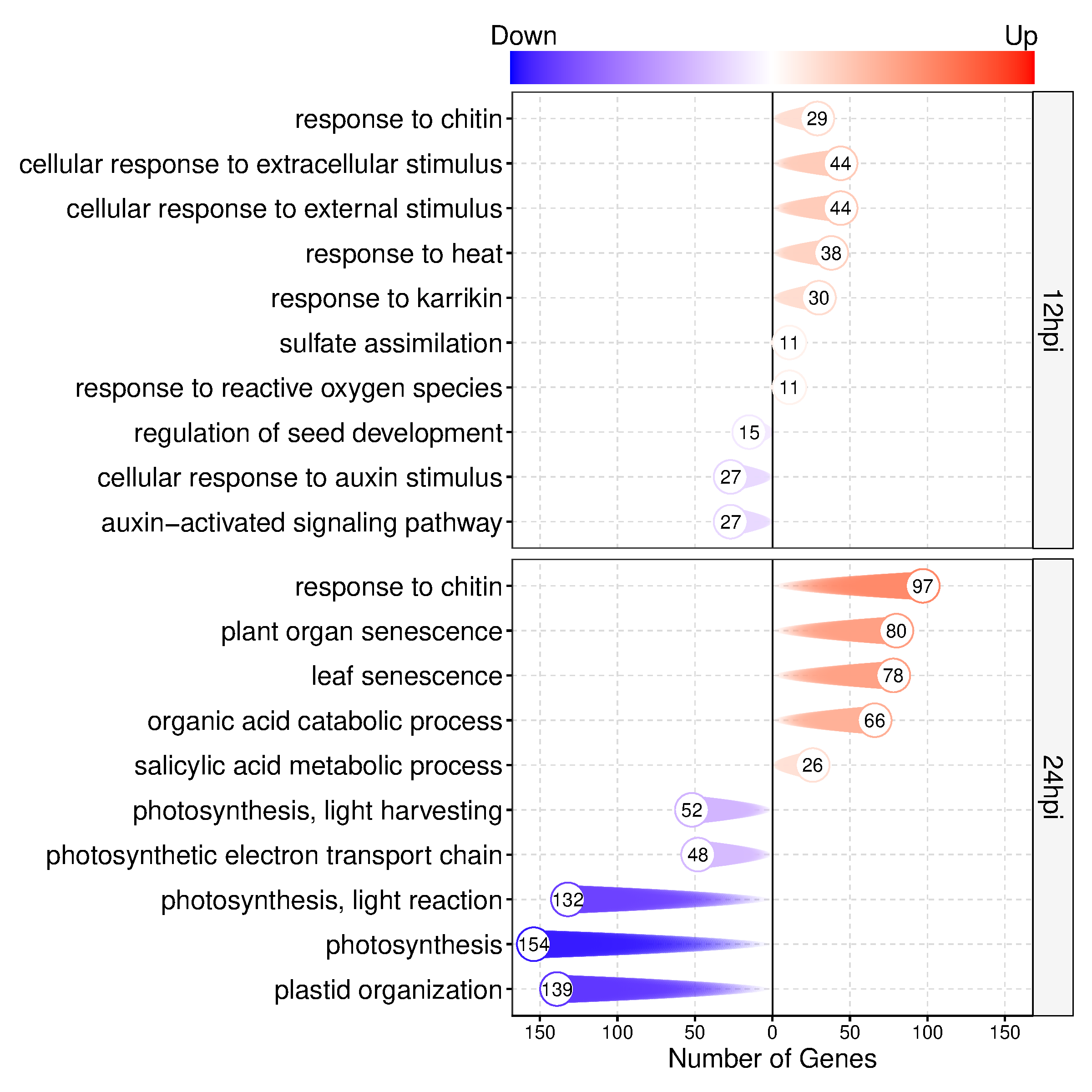 通用的占位符缩略图