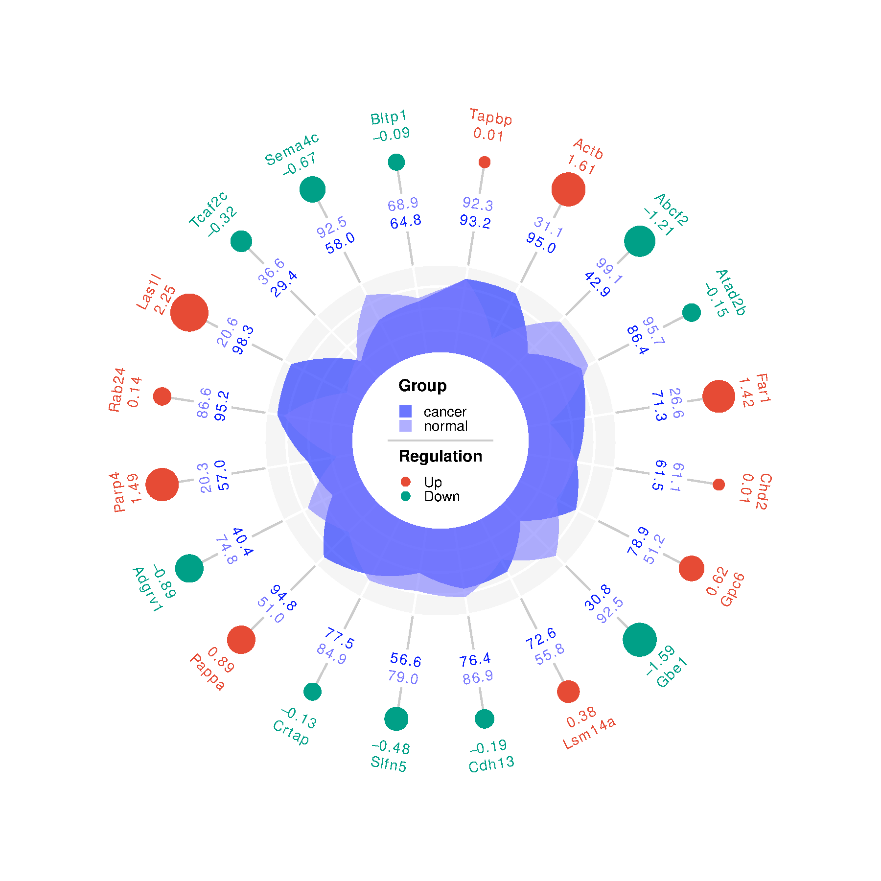 通用的占位符缩略图